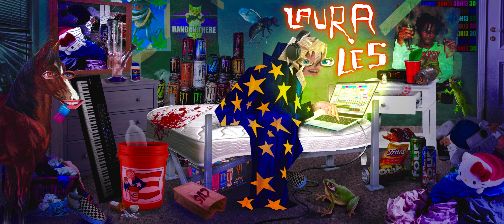 Laura Les Book Jacket